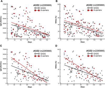 Host genetics impact on SARS-CoV-2 vaccine-induced immunoglobulin levels and dynamics: The role of TP53, ABO, APOE, ACE2, HLA-A, and CRP genes